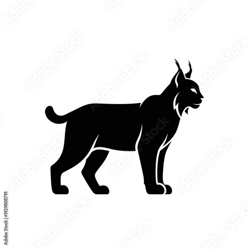 Silhouette of a Lynx in Black and White on a White Background.