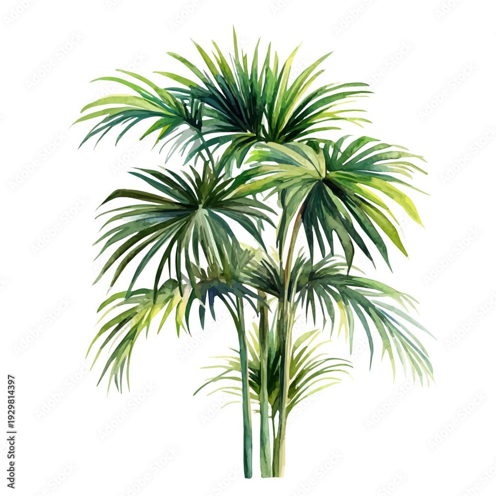 Fototapeta premium Palm Plant, watercolor artwork with intricate patterns and vibrant, isolated on a white background.