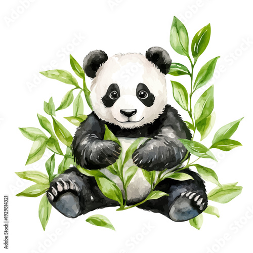 Panda Plant, watercolor painting with colorful accents, isolated on a white background.