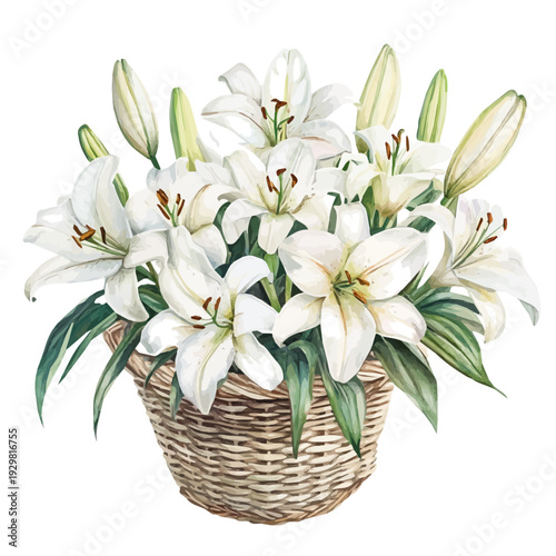 Lily Bouquet In A Basket A, watercolor illustration featuring soft shadows and luminous, isolated on a white background.