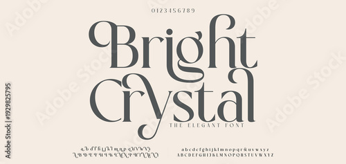 Bright Crystal. Elegant Font Uppercase Lowercase and Number. Classic Lettering Minimal Fashion Designs. Typography  fonts regular decorative vintage concept. vector illustration