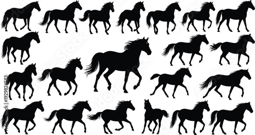 Horse silhouette collection, black galloping mustang vector set, running stallion silhouettes for equestrian design, farm animal cad drawing flat vector illustration