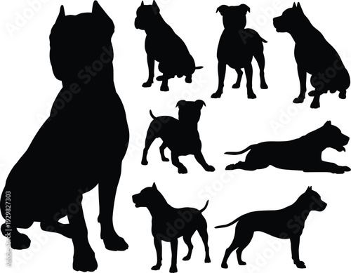Collection of black pit bull dog silhouettes in various poses including sitting, standing, and lying down, cad drawing flat vector illustration, isolated.