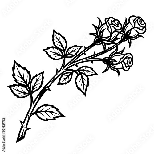 Elegant Black and White Rose Branch Illustration.