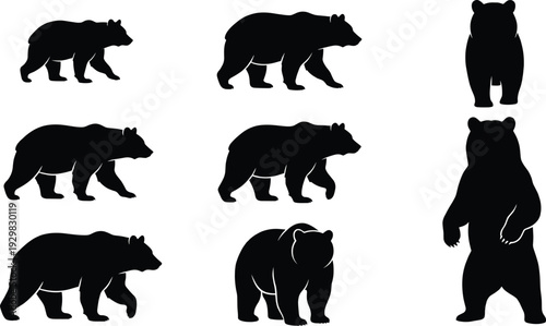 Black bear silhouettes set including grizzly walking standing and polar bear isolated on white background for wildlife nature logo and graphic design