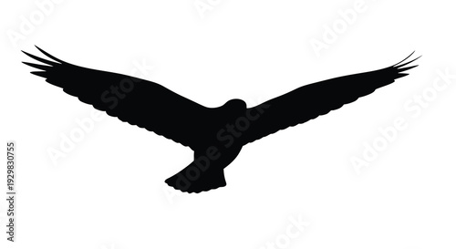 A striking black silhouette of a bird with outstretched wings soaring through the air capturing dynamic flight silhouette