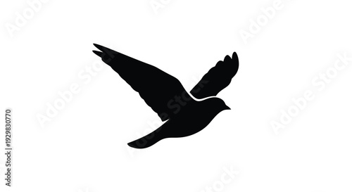 A striking black avian form is captured in mid flight demonstrating graceful wings and a streamlined shape silhouette high quality