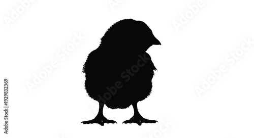 A striking black silhouette of a small fluffy chick standing on its feet showcasing a simple form silhouette