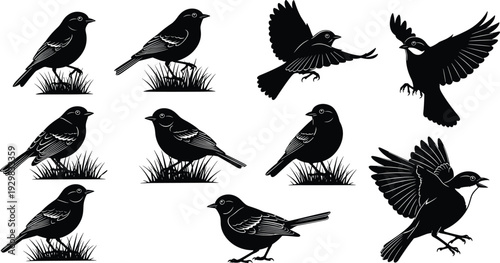 Black African wildlife silhouette vector set, savanna animals including lion elephant giraffe rhino and cheetah icons for safari travel branding and nature education design.