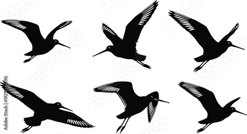 Black bird silhouette vector illustration set, flying stork or heron icons with long beaks and wide wings, wetland wildlife graphics for nature branding and conservation.
