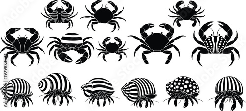 Black crab and hermit crab silhouette vector set, detailed marine crustacean icons with shells for beach nature branding and seafood restaurant aquatic wildlife logo.