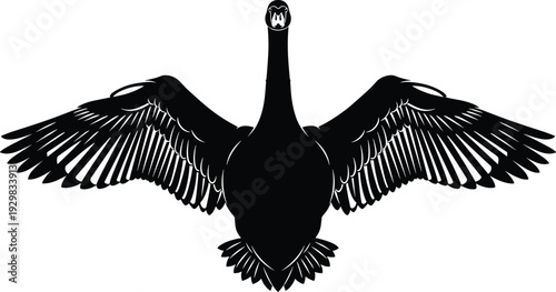 Elegant black swan silhouette vector illustration with wide open wings, front view of graceful water bird for lake nature branding and wildlife conservation graphics.
