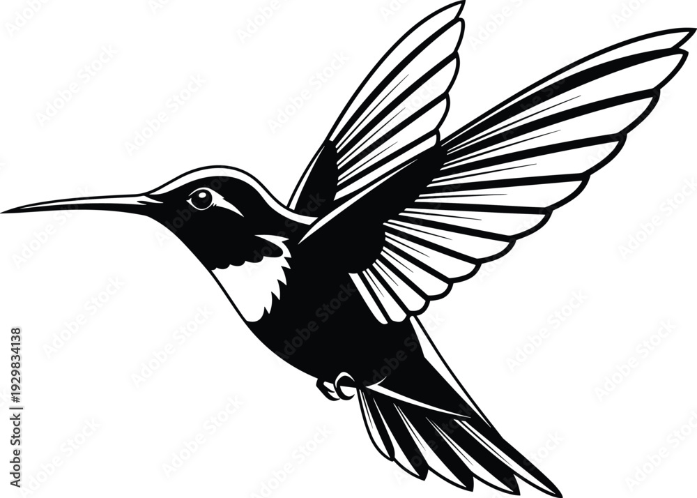 Fototapeta premium Hummingbird vector illustration in black and white, flying bird with detailed wings and beak, minimalist nature icon for wildlife branding, elegant avian graphic for garden design.