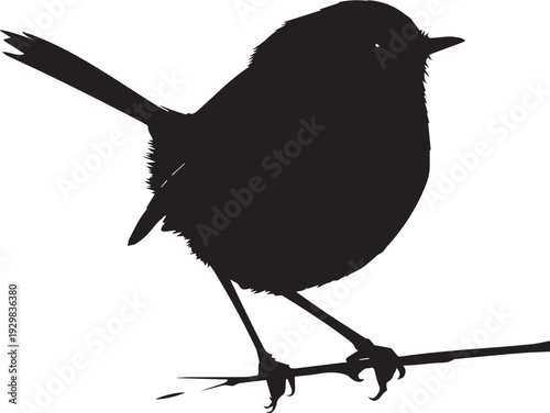 Tiny wren bird perched singing among branches lively silhouette.