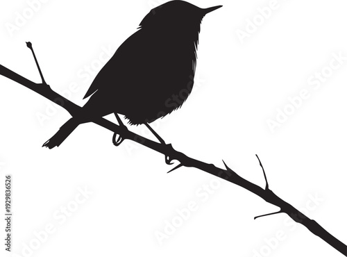 Tiny warbler bird perched singing melodiously in leafy forest silhouette.