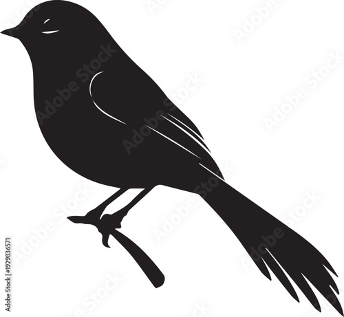 Small warbler bird singing perched on leafy branch lively silhouette.