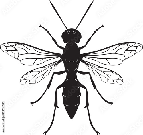 Striped wasp insect with narrow waist flying aggressively silhouette.