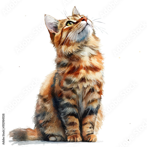 Cat, watercolor painting vector, isolated on a white background.