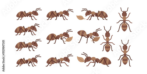 Brown ants in various poses including some carrying a leaf, forming a diverse set of worker insects representing teamwork