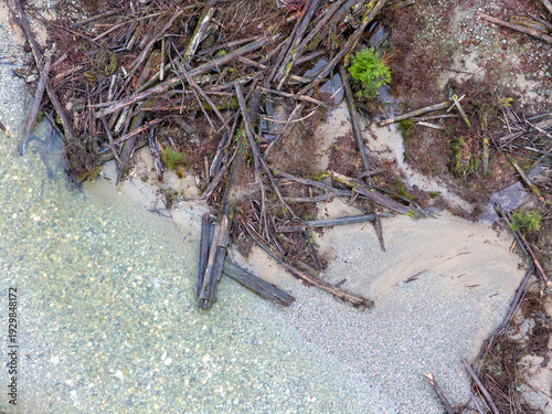 Aerial View of Driftwood-Strewn Rocky Beach and Shoreline Vegetation in BC, Canada