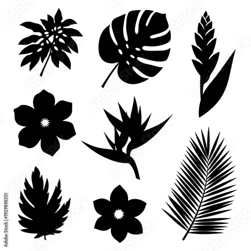Tropical flora silhouette set: A collection of exquisite silhouettes showcasing a variety of vibrant tropical flora, each design radiating natural elegance.