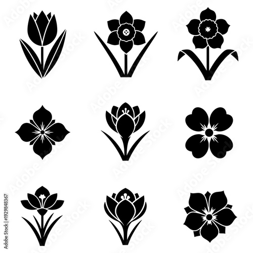 Floral Harmony: A collection of exquisite floral silhouettes, each a unique masterpiece of botanical design, creating a symphony of shapes and forms.