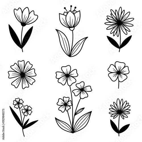 set of vector flowers