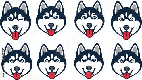 Eight husky heads with tongues out