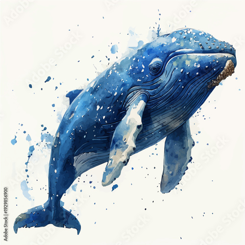 Photography Blue Whale, clipart vector in watercolor style with flowing brushwork, isolated on a white background