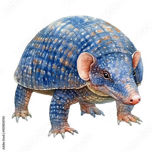 Armadillo, watercolor with intricate brush textures and gentle highlights, isolated on a white background.