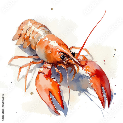Aquarium Shrimp, illustration watercolor with dynamic strokes and balanced color harmony, isolated on a white background.