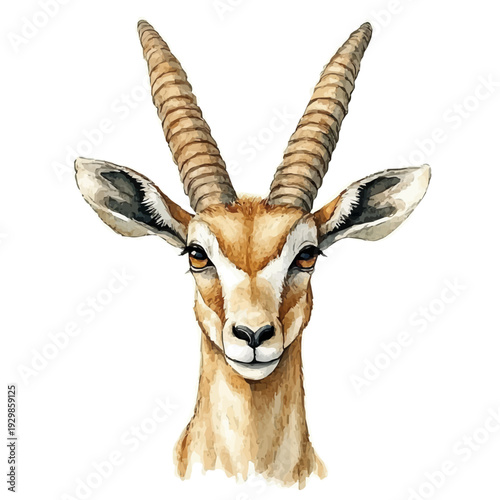 Antelope, illustration watercolor with playful splashes and delicate line details, isolated on a white background.