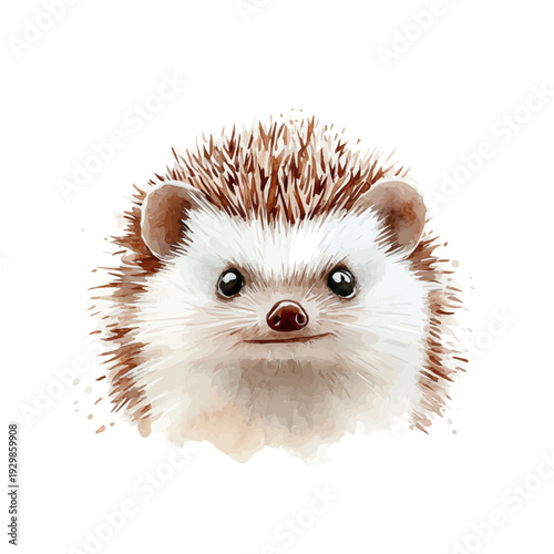 African Pygmy Hedgehog, illustration watercolor artwork with subtle gradients and elegant contours, isolated on a white background.