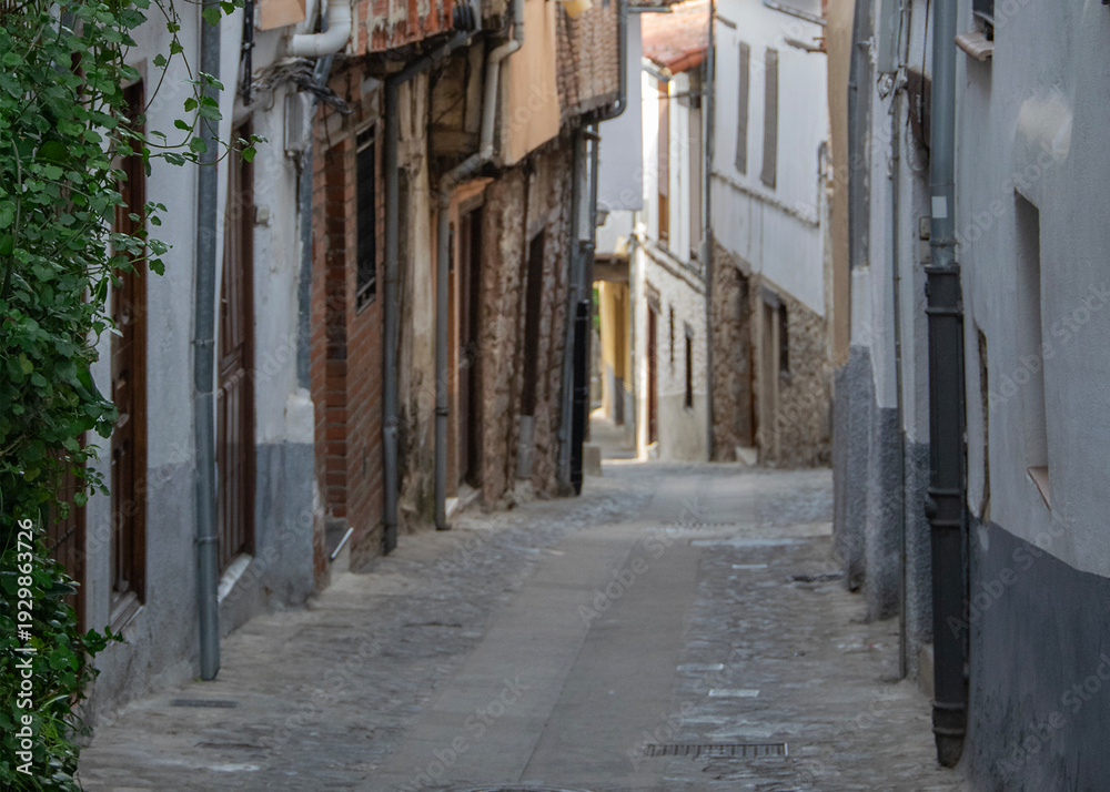 Fototapeta premium Narrow cobblestone street with climbing vines, hervas, spains