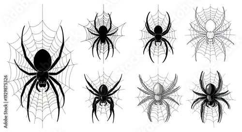 Set of Spider Illustrations on Cobwebs, Halloween and Horror Icons