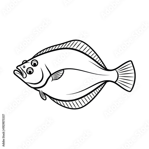 Black and White Line Art Illustration of a Flounder Fish