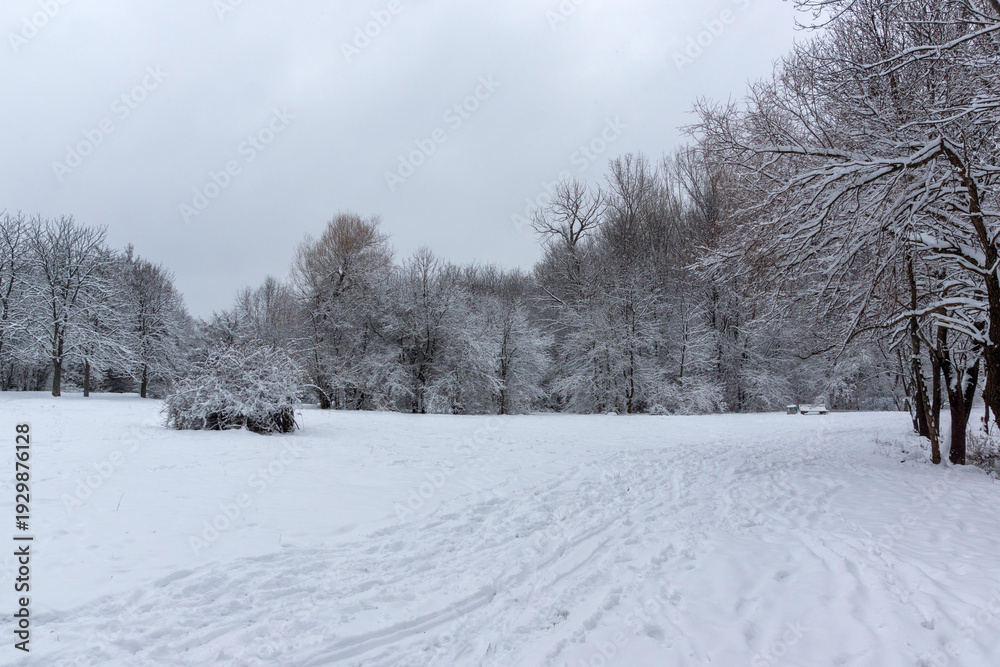 Obraz premium Landscape of South Park in city of Sofia, Bulgaria