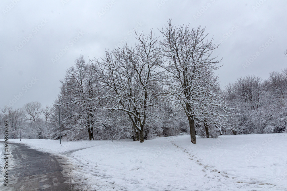 Obraz premium Landscape of South Park in city of Sofia, Bulgaria
