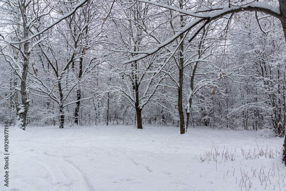 Fototapeta premium Landscape of South Park in city of Sofia, Bulgaria