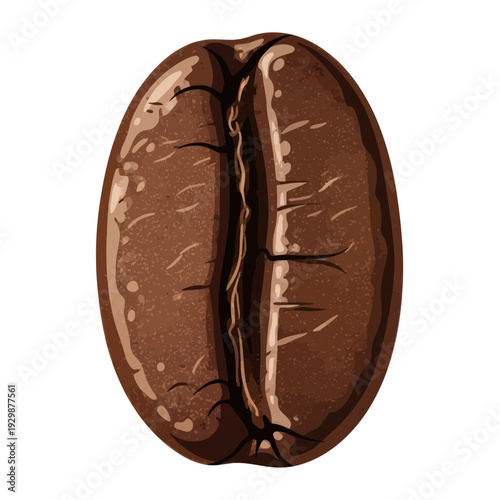 Single Roasted Coffee Bean Close-up Isolated on White Background