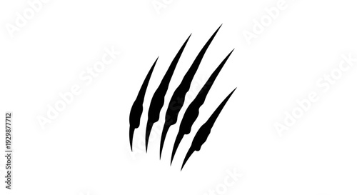 A graphic illustration of five sharp, black claw marks scratched onto a white background.
