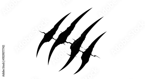 A graphic illustration of four sharp, black claw marks scratched across a white background, suggesting a wild animal attack.