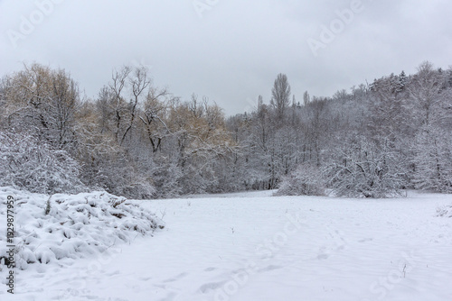 Wallpaper Mural Landscape of South Park in city of Sofia, Bulgaria Torontodigital.ca
