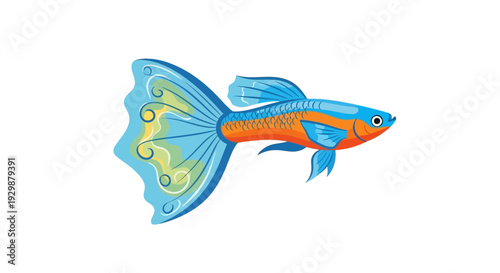 Colorful Fish Swimming Alone.