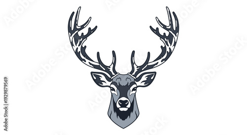 Deer Head with Antlers.