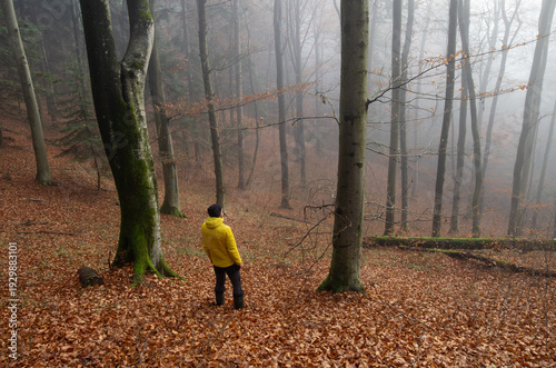 man walking in autumn forest
