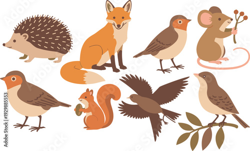 Cute forest animals and birds illustration Keywords: hedgehog, fox, mouse, squirrel, robin, bird