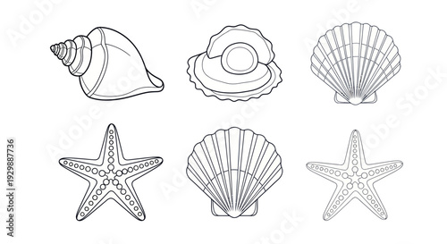 Collection of Hand-Drawn Marine Shells and Starfish Icons