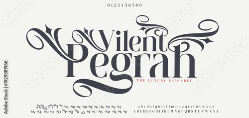 Modern Luxury Fashion Font Alphabet. Elegant Classy fonts for fashion, lettering, logo, brand etc. Typography Typeface Uppercase Lowercase and Number. Editable Vector Illustration.