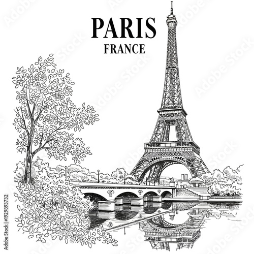 Detailed black and white illustration of the Eiffel Tower in Paris, France, with a tree and bridge in the foreground.